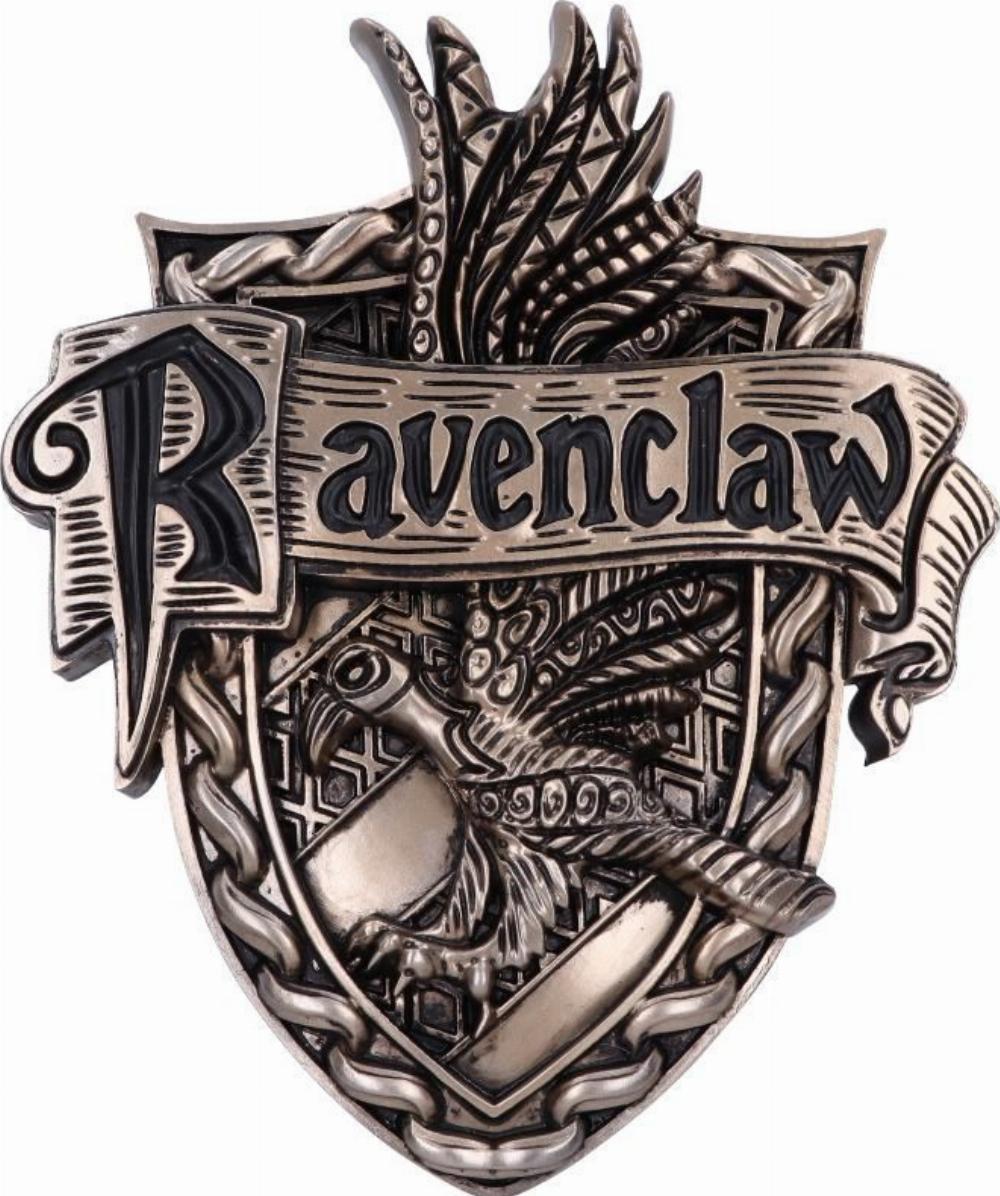 Ravenclaw in 2023  Ravenclaw, Medieval witch, Animal symbolism