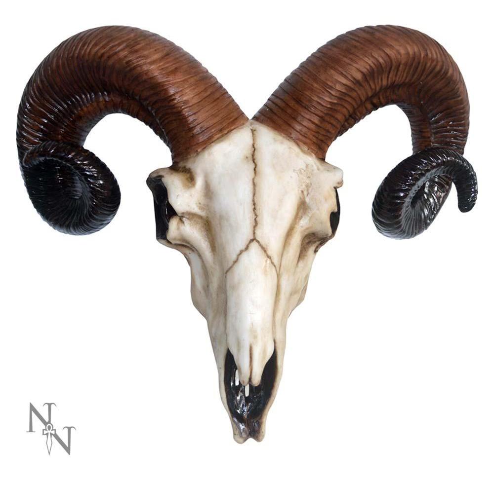 Realistic Wall Mounted Rams Skull | Gothic Gifts