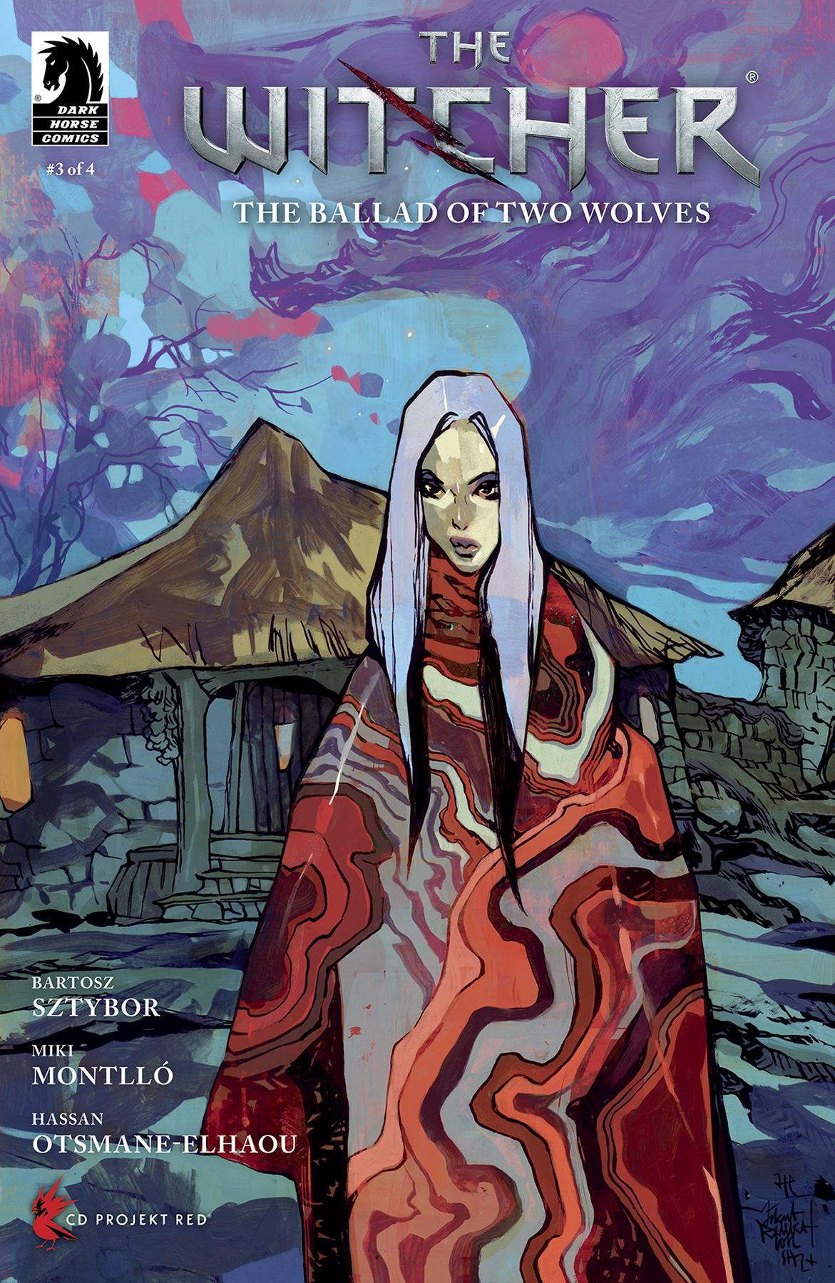 Two Wolves Cover Witcher the Ballad of Two Wolves #3 (Of 4) Cover B Comic | Gothic Gifts