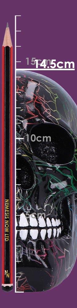Photo #2 of product D7081B25 - Electro Decorative Resin Skull