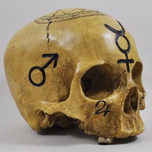 Photo of Witchcraft Skull