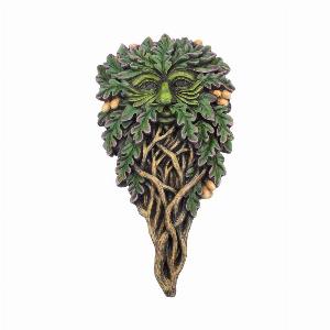 Photo #1 of product D3566J7 - Tree Spirit Wall Plaque All Seeing Oak 29cm