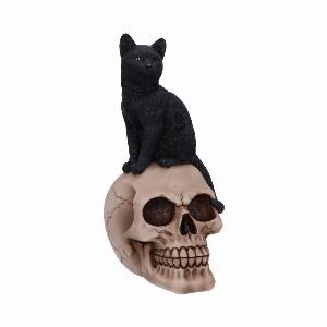 Photo #1 of product U5453T1 - Familiar Fate 24.3cm Black Witches Cat and Skull Figurine