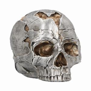 Photo #1 of product U6166W2 - Large Alternative Fracture Skull 16cm