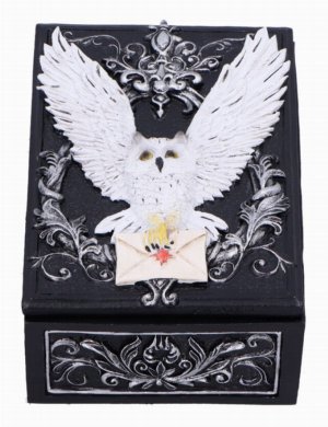 Photo #1 of product U7005A25 - Owl Messenger Box