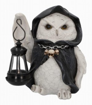 Photo #1 of product U6173W2 - Reapers Flight Lantern Grim Reaper Owl Figurine 17cm