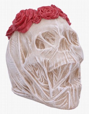 Photo #1 of product U6559Y3 - The Veil Skull (Large)