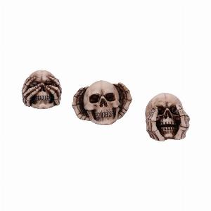 Photo #1 of product D5732U1 - Three Wise Skulls 7.6cm