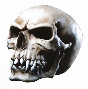 Photo of Orc Skull 16 cm