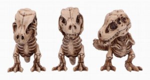 Photo #1 of product B6974A25 - Three Wise Tyrannosaurus Rex Skeletons