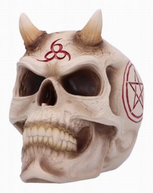 Photo #1 of product B6522Y3 - James Ryman 666 Skull
