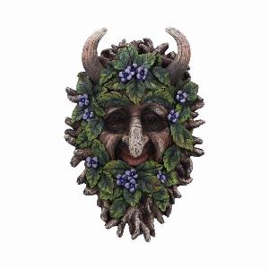 Photo #1 of product D5934V2 - Alder Wall Mounted Tree Spirit 20.2cm