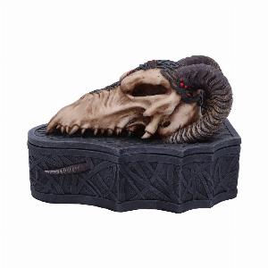 Photo #1 of product D5986W2 - Dragon Skull Box (Monte Moore) 17.7cm