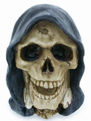 Photo of Reaper Skull
