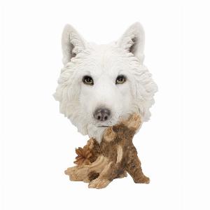 Photo #1 of product U4538N9 - Wild Winter White Wolf Bust 27.5cm