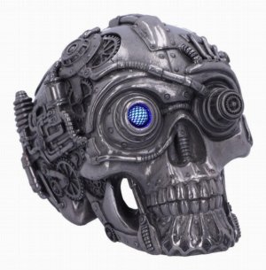 Photo #1 of product D5998W2 - Cybertron Silver Skull 16.5cm