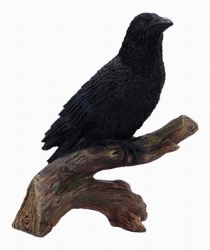 Photo #1 of product D7084B25 - Ravens Perch Resin Figurine