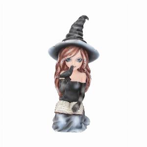 Photo #1 of product D2449G6 - Regan Witch & Her Raven Figurine 15cm