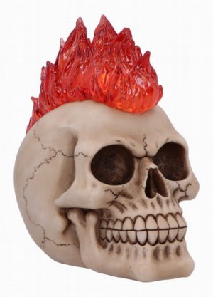 Photo #1 of product U7131B25 - Hot-Headed 19cm