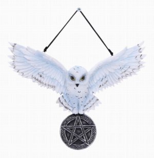 Photo #1 of product U7109B25 - Owl Talisman 20.5cm
