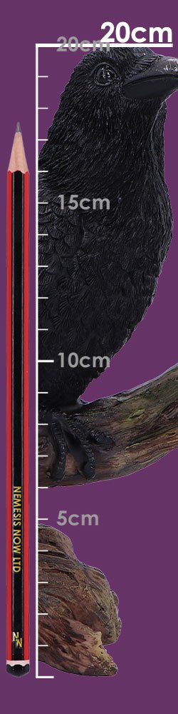 Photo #2 of product D7084B25 - Ravens Perch Resin Figurine