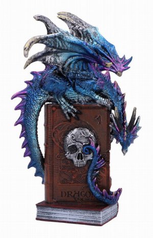 Photo #1 of product U6700A24 - A Tale of Dragons Skull Book Figurine 22cm