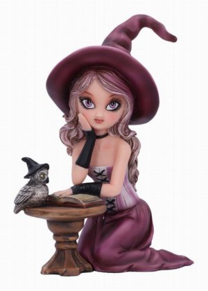 Photo #1 of product D6294X3 - Agatha Witch Figurine 15cm