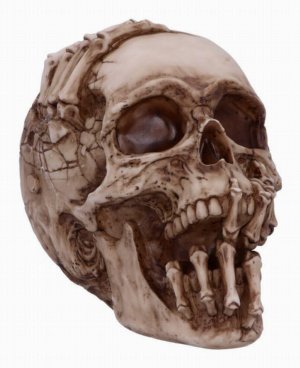Photo #1 of product B5389S0 - Officially Licensed James Ryman Breaking Out Skull Skeleton Ornament