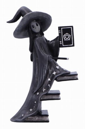 Photo #1 of product B6936C24 - Little Souls Luna Witch with Books Figurine