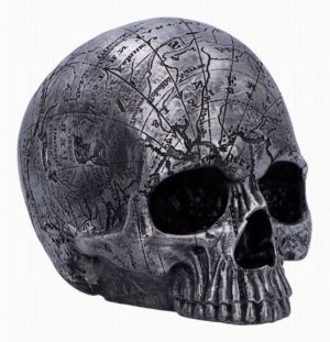 Photo #1 of product U6713A24 - Mind Map Skull Head 15cm