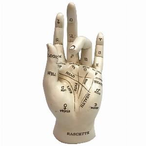 Photo #1 of product U4943R0 - Palmistry Chriomancy Fortune Telling Hand Figurine