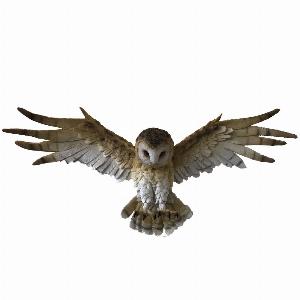 Photo #1 of product H3741K8 - Wisdom Flight Brown Flying Barn Owl Wall Hanging