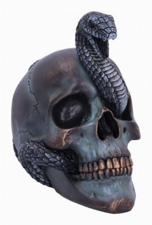 Photo #1 of product B6093W2 - Serpentine Fate Gothic Snake Skull 19cm