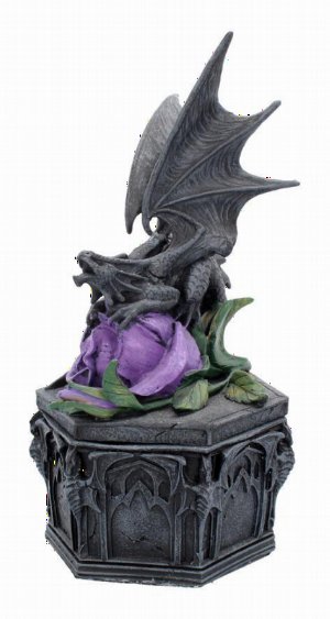 Photo #1 of product NOW6852 - Anne Stokes Dragon Beauty Valentine Box