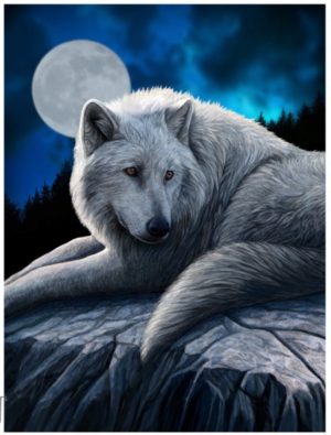 Photo of Guardian of The North Wolf 3D Poster 28 x 38 cm