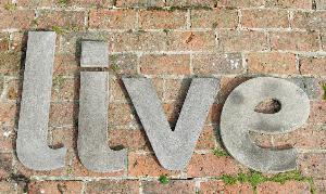 Photo of LIVE Wall Plaque (Set of Four Large Stone Letters)