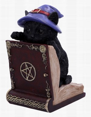 Photo #1 of product U6504Y3 - Peek-a-boo Witch Cat Bookend