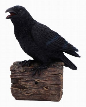 Photo #1 of product D7085B25 - Ravens Cry With Motion Activated Sound