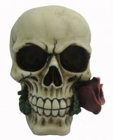 Photo of Romantic Skull