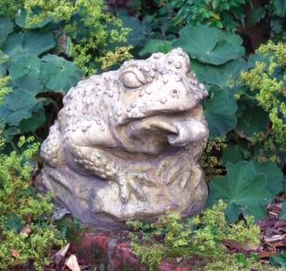 Photo of Toad Stone Sculpture