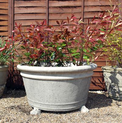 Photo of Grand Flower Stone Pot with Feet