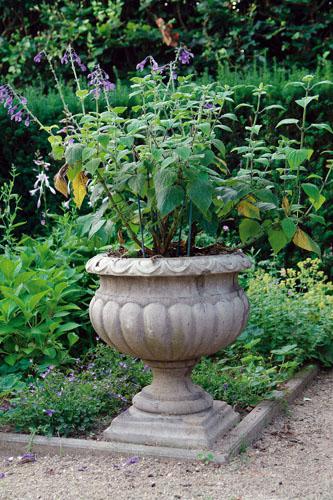 Photo of Buckingham Stone Urn