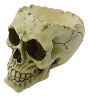 Photo of Lobo Skull Bowl