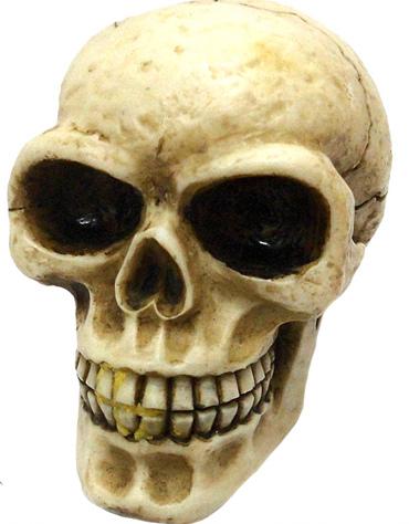 Photo of Skull Gear Knob