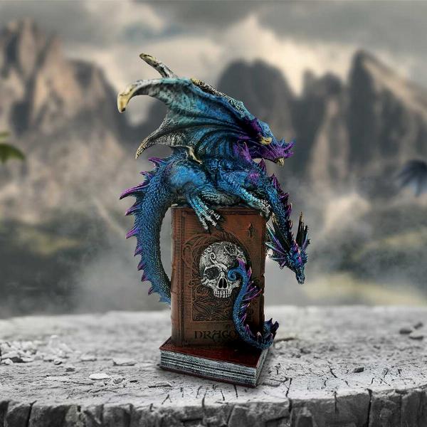 Photo #5 of product U6700A24 - A Tale of Dragons Skull Book Figurine 22cm