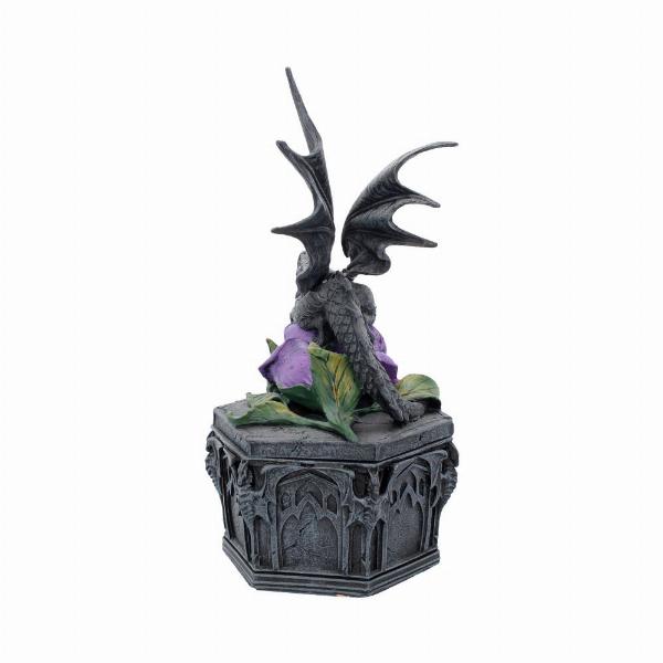 Photo #3 of product NOW6852 - Anne Stokes Dragon Beauty Valentine Box