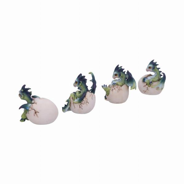 Photo #3 of product U5073R0 - Set of Four Hatchlings Emergence Dragonling Hatching from Egg Figurine