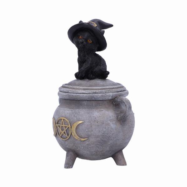 Photo #2 of product U5823U1 - Witch Cat Cauldron Box 14cm