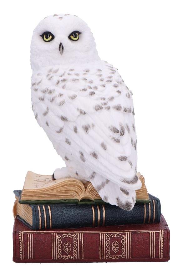 Photo #1 of product D6818B24 - Library of Wisdom White Owl Figurine