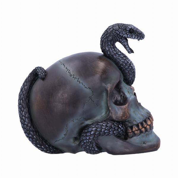 Photo #4 of product B6093W2 - Serpentine Fate Gothic Snake Skull 19cm